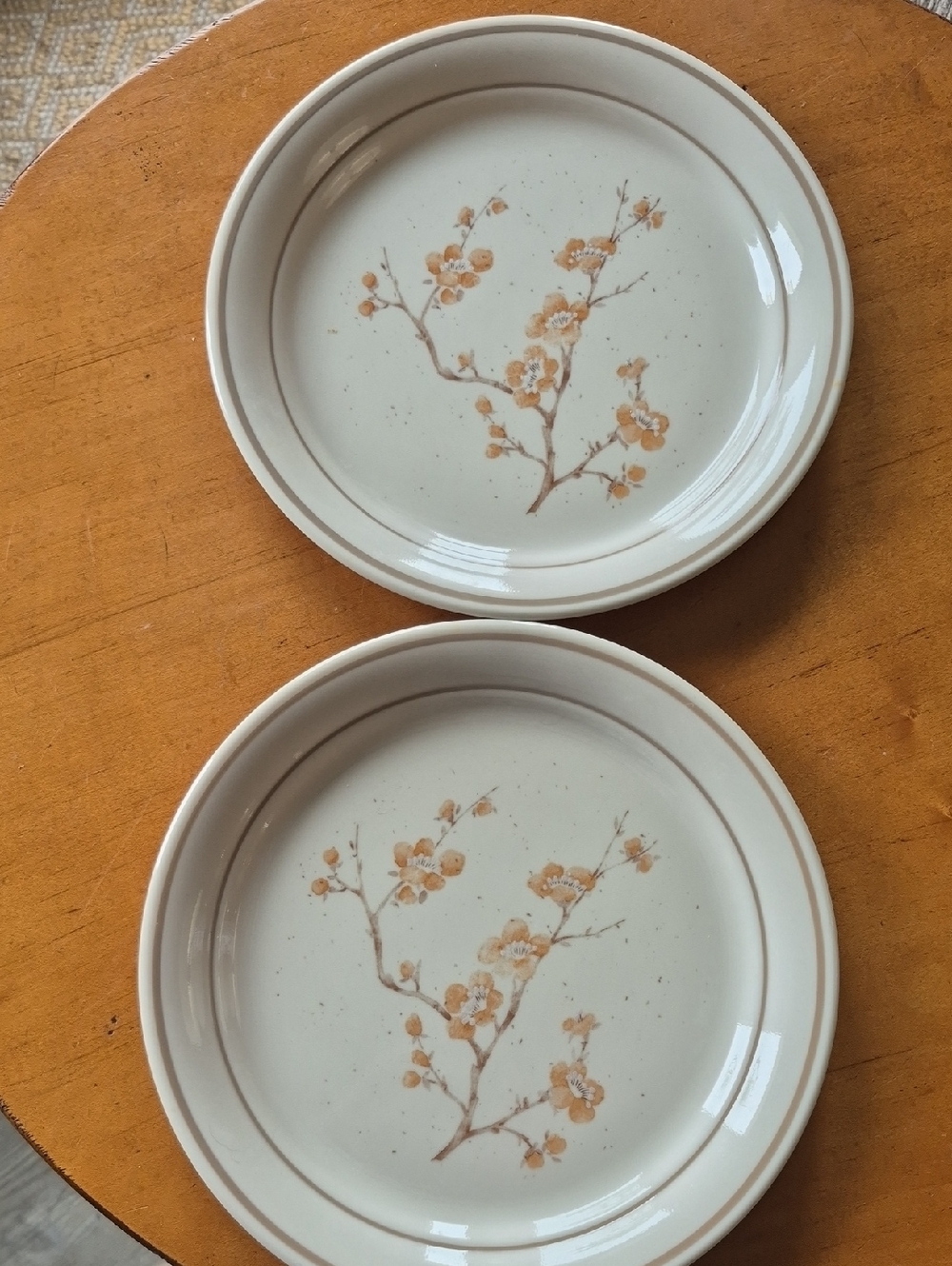 Corelle China Blossom Cream Salad Plates with Faint Maker's Mark. Set of 2